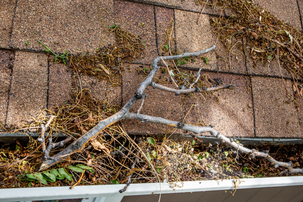 5 Tips for Cleaning Dirty Gutters Tidal Washers