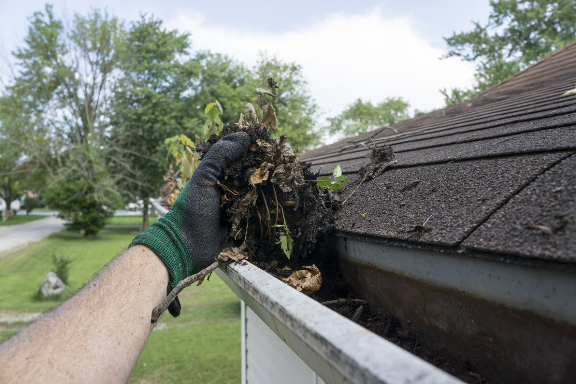 How Often is Gutter Cleaning Necessary? Gutter Cleaning