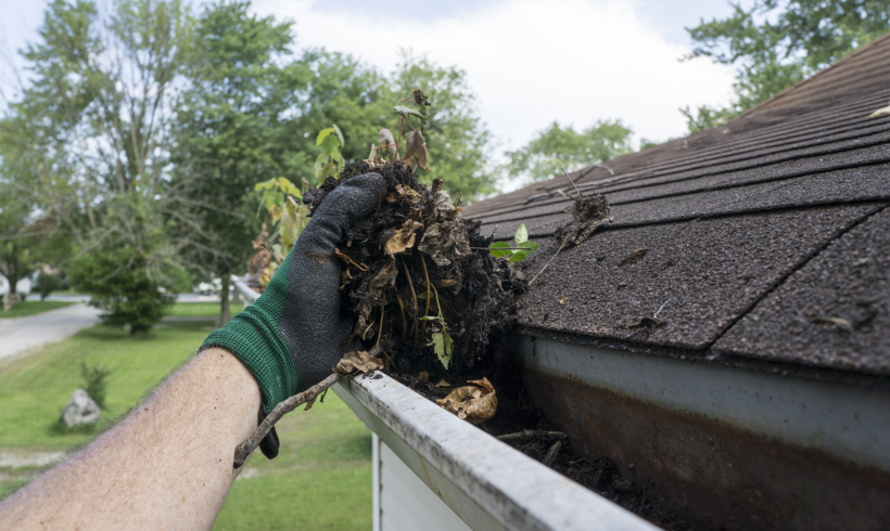 How Often is Gutter Cleaning Necessary?