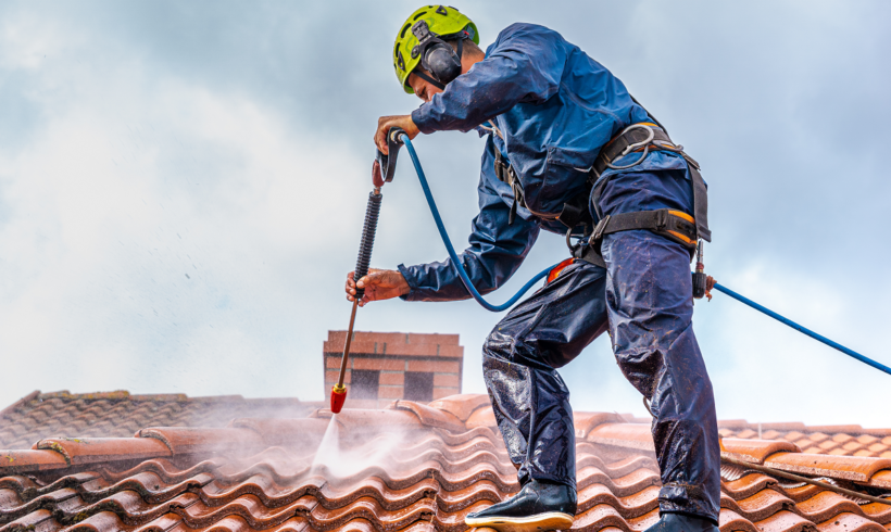Solutions For A Cleaner Roof