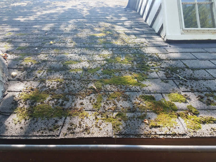 Fastest Way to Clean Moss From Roof Shingles